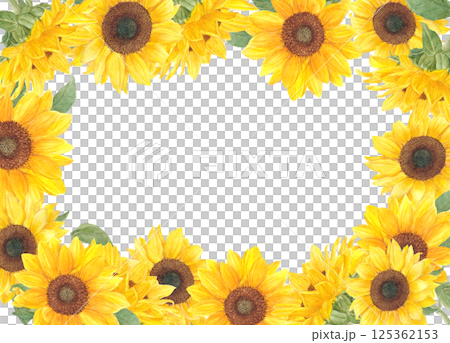 以透明水彩繪製的向日葵花背景框材料 125362153