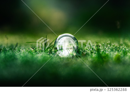 Globe on grass in the morning. Earth and environment concept. Background for sustainable environment. 125362288
