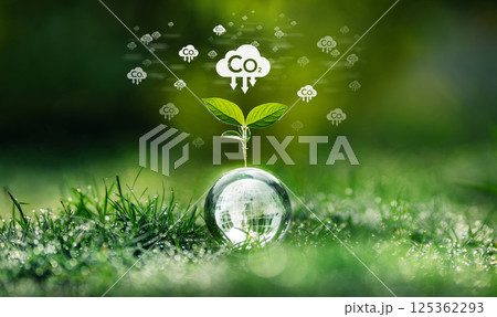 Carbon and nature conservation, World Day and Sustainable Environment Carbon and nature conservation, World Day and Sustainable Environment 125362293