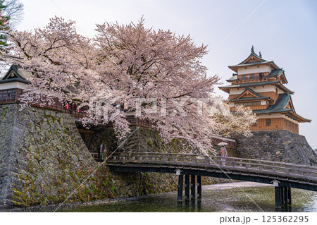 高島城 桜満開 和服 着物 女性 【長野県諏訪市】 高島城 桜満開 和服 着物 女性 【長野県諏訪市】 125362295