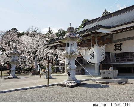 山梨県 満開の桜と妙了寺 本堂 4月 山梨県 満開の桜と妙了寺 本堂 4月 125362341