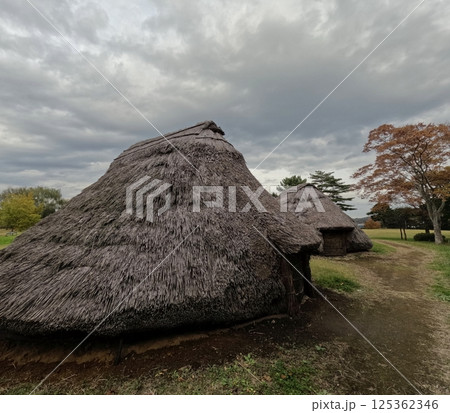 一迫山王史跡公園の竪穴住居 125362346