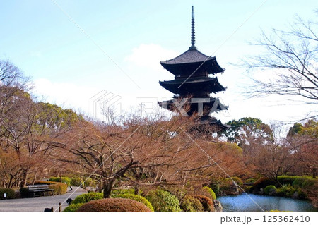 京都府　東寺・五重塔（国宝） 京都市 南区 九条町　2022年2月 125362410