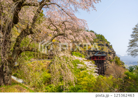 布引観音の桜 長野県小諸市 布引観音の桜 長野県小諸市 125362463