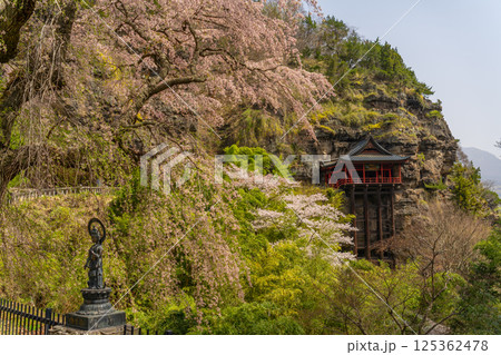 布引観音の桜 長野県小諸市 布引観音の桜 長野県小諸市 125362478