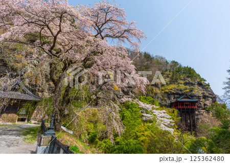 布引観音の桜 長野県小諸市 布引観音の桜 長野県小諸市 125362480