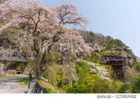 布引観音の桜 長野県小諸市 布引観音の桜 長野県小諸市 125362482