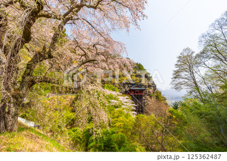 布引観音の桜 長野県小諸市 布引観音の桜 長野県小諸市 125362487