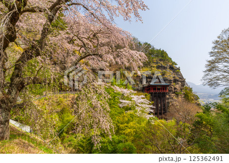 布引観音の桜　長野県小諸市 125362491