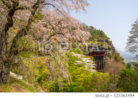 布引観音の桜 長野県小諸市 布引観音の桜 長野県小諸市 125362494