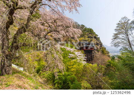布引観音の桜　長野県小諸市 125362496
