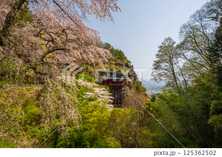 布引観音の桜　長野県小諸市 125362502