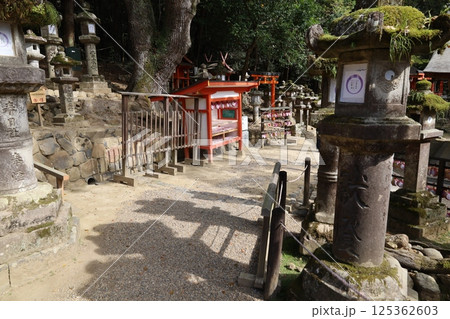 奈良市にある春日大社の境内の風景 奈良市にある春日大社の境内の風景 125362603