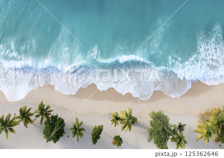 Beach with palm trees and a blue ocean 125362646