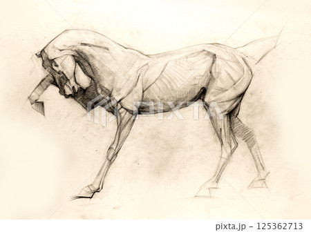 pencil drawing illustration, sketch, hand made pencil drawing illustration, sketch, hand made 125362713