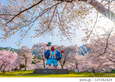 日本一の天狗と桜 戸倉キティパーク (長野県千曲市) 日本一の天狗と桜 戸倉キティパーク (長野県千曲市) 125362829