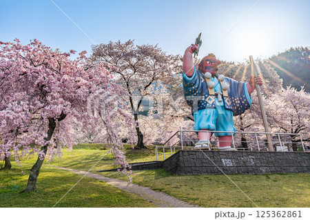 日本一の天狗と桜 戸倉キティパーク (長野県千曲市) 日本一の天狗と桜 戸倉キティパーク (長野県千曲市) 125362861