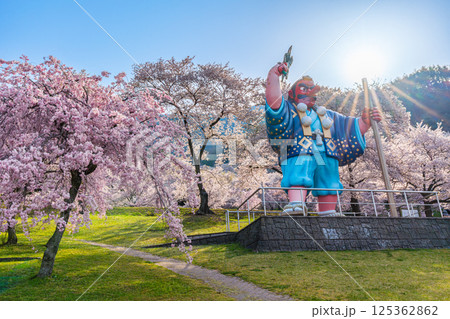 日本一の天狗と桜 戸倉キティパーク (長野県千曲市) 日本一の天狗と桜 戸倉キティパーク (長野県千曲市) 125362862