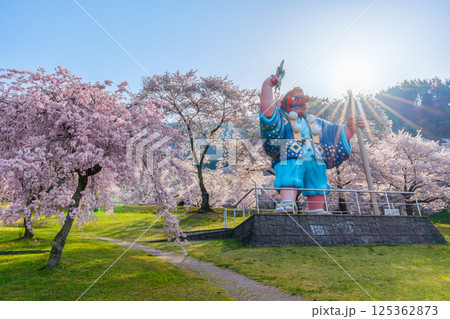 日本一の天狗と桜　戸倉キティパーク　（長野県千曲市） 125362873