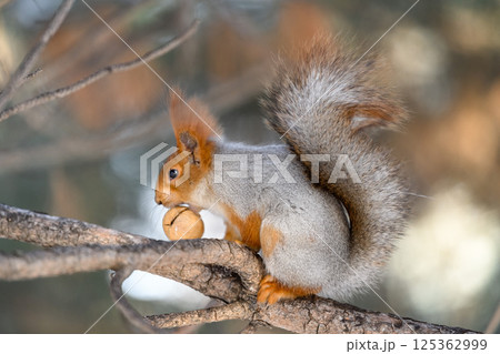 _ALX1626.NEF _ALX1626.NEF 125362999