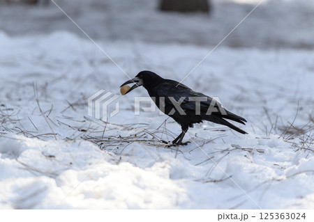 _ALX2328.NEF _ALX2328.NEF 125363024