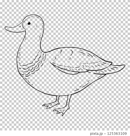 可愛的復古風格鴨子手繪插圖 - 僅線條藝術 125363109