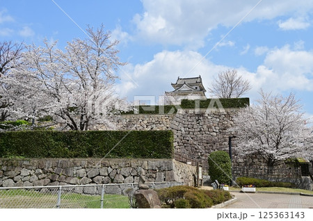 神辺一番櫓台石垣から見た伏見櫓とサクラ（福山城） 125363143