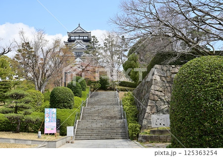 ふくやま美術館側から見える福山城 ふくやま美術館側から見える福山城 125363254