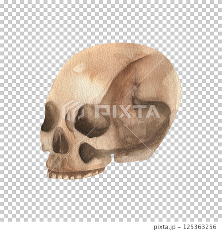 Skull watercolor gothic illustration. Hand drawn Halloween clipart, scary jaw clipart, dead head for festive card,poster, invitation design. Isolated on white 125363256