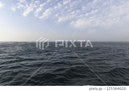 Sea and Beautiful seascape - waves and sky with clouds. Winter sea. 125364028