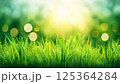 新緑の草原とボケ背景 125364284