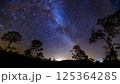 シルエットの森と地平線に広がる星降る夜空 125364285