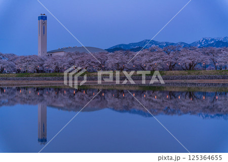 (富山県)あさひ舟川べり 満開の夜桜ライトアップ (富山県)あさひ舟川べり 満開の夜桜ライトアップ 125364655