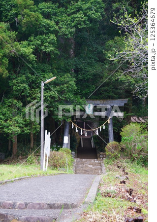 木々に囲まれた五柱神社への道 木々に囲まれた五柱神社への道 125364679