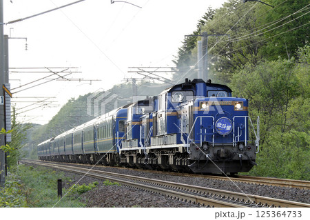 【ARCHIVE】寝台特急北斗星　豪華寝台列車　北斗星　 125364733