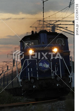 【ARCHIVE】寝台特急北斗星　豪華寝台列車　北斗星　 125364738