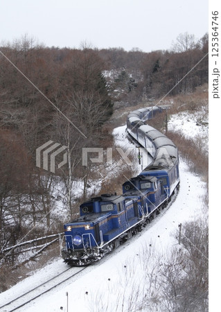 【ARCHIVE】寝台特急北斗星　豪華寝台列車　北斗星　 125364746