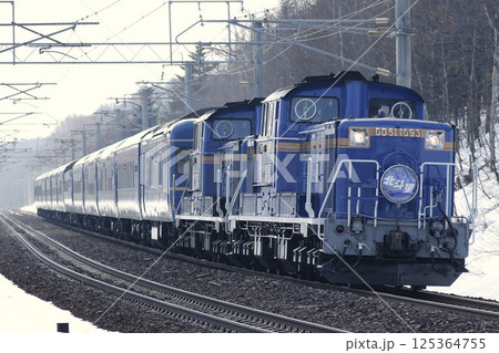 【ARCHIVE】寝台特急北斗星　豪華寝台列車　北斗星　 125364755