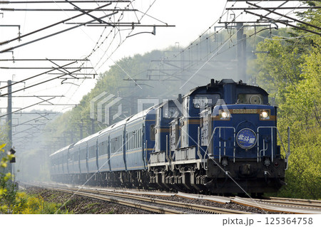 【ARCHIVE】寝台特急北斗星　豪華寝台列車　北斗星　 125364758