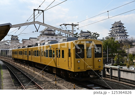 福山駅のプラットホームから望む福山城とソメイヨシノ 福山駅のプラットホームから望む福山城とソメイヨシノ 125364826