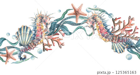 Seahorse seashells, seaweed, starfish, corals, sea sponges and pebbles, bubbles. Marine, nautical watercolor illustration of the underwater world hand drawn. Seamless pattern horizontal wave border 125365163