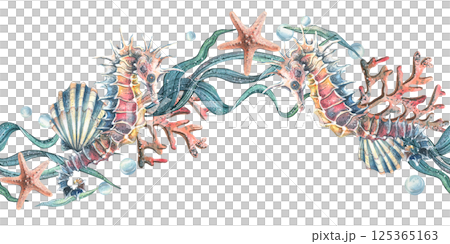 Seahorse seashells, seaweed, starfish, corals, sea sponges and pebbles, bubbles. Marine, nautical watercolor illustration of the underwater world hand drawn. Seamless pattern horizontal wave border 125365163