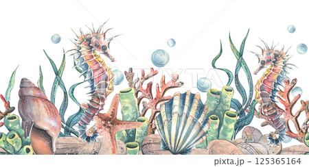 Seahorse seashells, seaweed, starfish, corals, sea sponges and pebbles, bubbles. Marine, nautical watercolor illustration of the underwater world hand drawn. Seamless pattern horizontal border 125365164