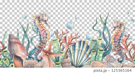 Seahorse seashells, seaweed, starfish, corals, sea sponges and pebbles, bubbles. Marine, nautical watercolor illustration of the underwater world hand drawn. Seamless pattern horizontal border 125365164