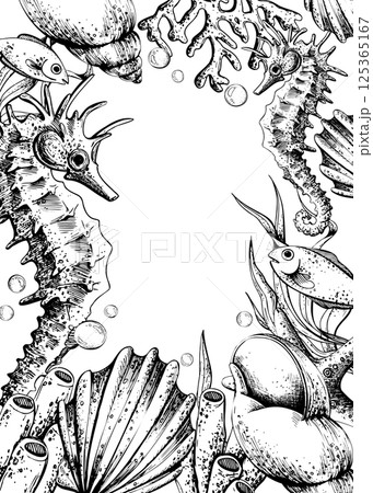 Seahorse, corals, sea sponges, seaweed, shells, starfish and bubbles. Hand drawn graphic illustration in black and white color line art. Frame template vertical for text on marine theme Seahorse, corals, sea sponges, seaweed, shells, starfish and bubbles. Hand drawn graphic illustration in black and white color line art. Frame template vertical for text on marine theme 125365167