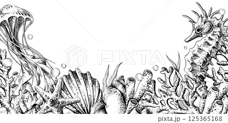 Seahorse, jellyfish, seashell, coral, starfish, sea sponge, algae, pebbles and bubbles. Hand drawn graphic illustration in black and white color line art. Frame template horizontal for text on marine Seahorse, jellyfish, seashell, coral, starfish, sea sponge, algae, pebbles and bubbles. Hand drawn graphic illustration in black and white color line art. Frame template horizontal for text on marine 125365168