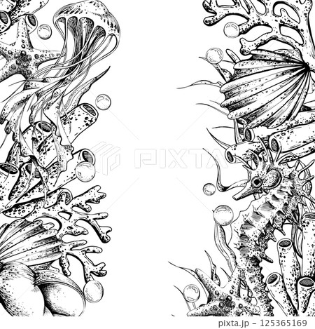 Seahorse, jellyfish, seashell, coral, starfish, sea sponge, algae, pebbles and bubbles. Hand drawn graphic illustration in black and white color line art. Frame template for text on marine theme Seahorse, jellyfish, seashell, coral, starfish, sea sponge, algae, pebbles and bubbles. Hand drawn graphic illustration in black and white color line art. Frame template for text on marine theme 125365169