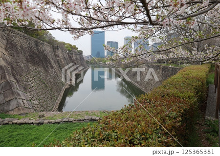大阪市にある大阪城の内堀の風景 大阪市にある大阪城の内堀の風景 125365381