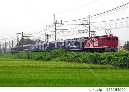 岩手県へ戻る甲子園応援列車／甲子園臨（ブルートレイン24系寝台車） 125365602