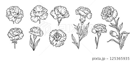Set of hand drawn carnation flower illustration set in black and white line art style. Vector botanical drawing for tattoo, packaging, card design, and floral decor 125365935